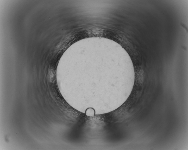 X0000101960709200808081528