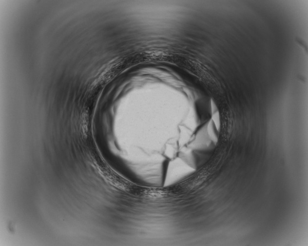 X0000101960710200808081528