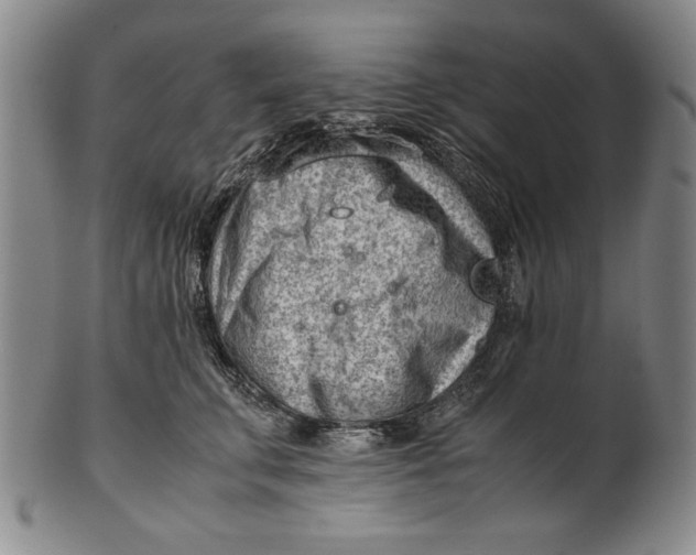 X0000101960711200808081528