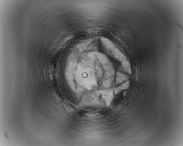 X0000101960712200808081528