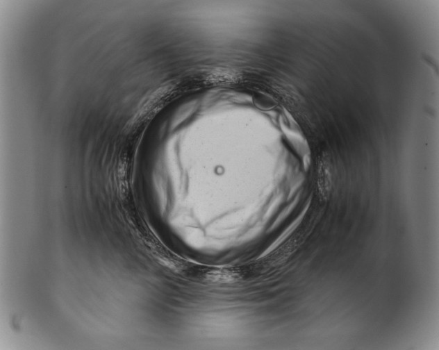 X0000101960714200808081528