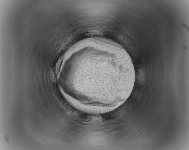 X0000101960715200808081528