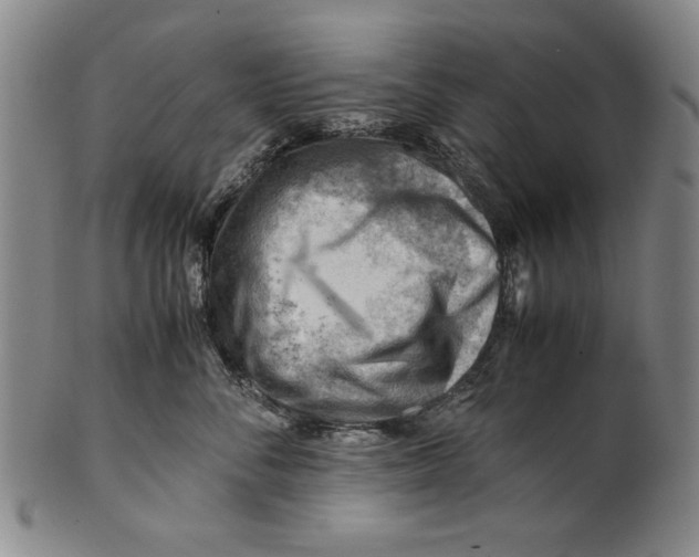 X0000101960716200808081528