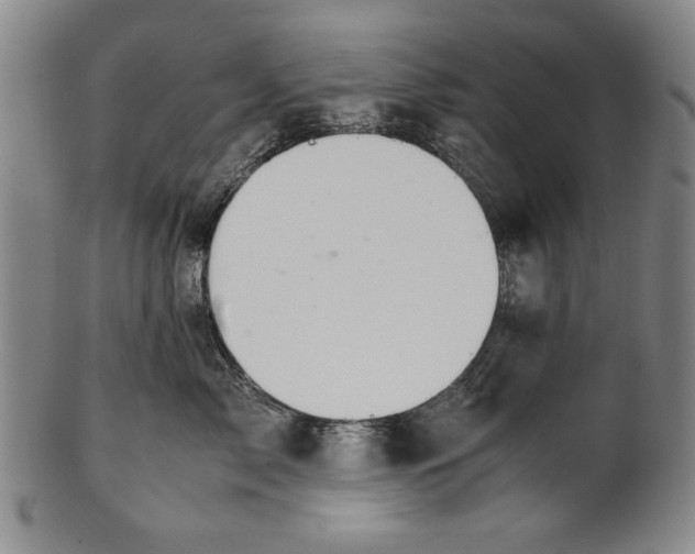 X0000101960717200808081528