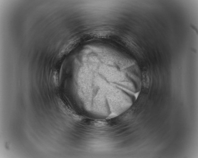 X0000101960718200808081528