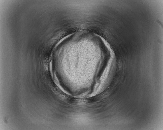 X0000101960719200808081528