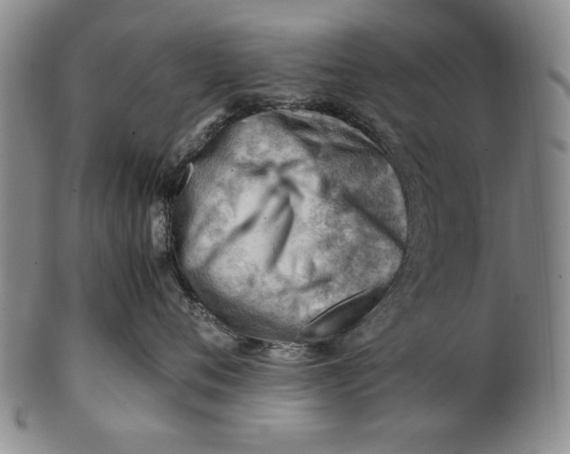 X0000101960720200808081528