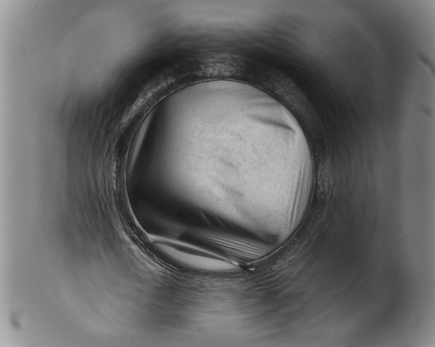 X0000101960722200808081527