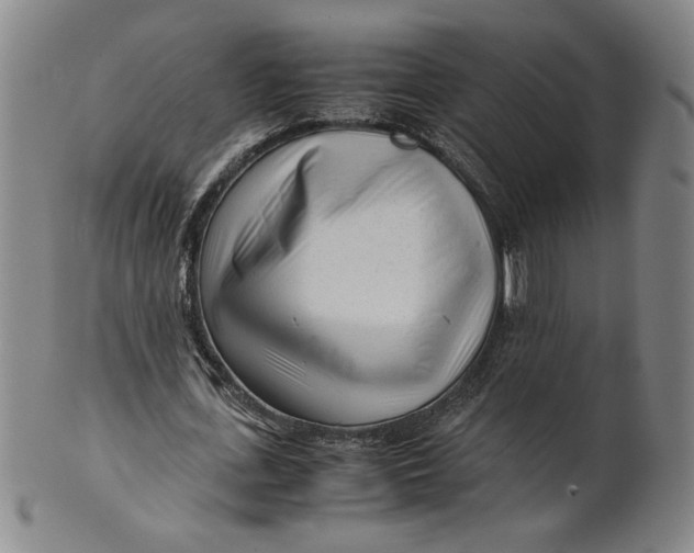 X0000101960723200808081527