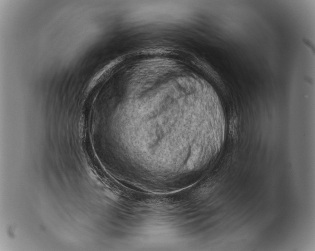 X0000101960724200808081527