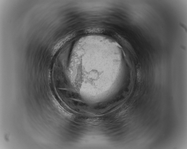 X0000101960725200808081527