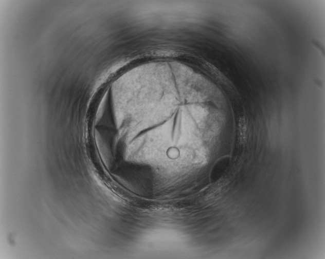 X0000101960726200808081527