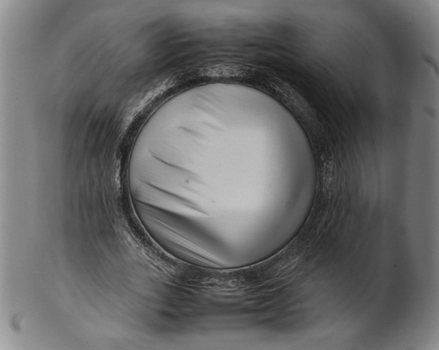 X0000101960727200808081527