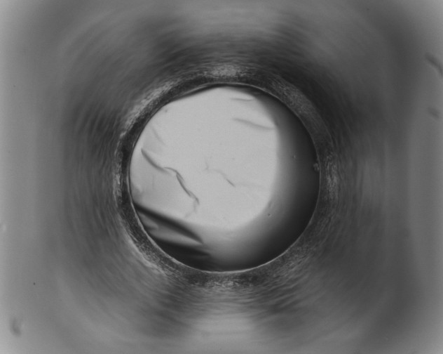 X0000101960728200808081527