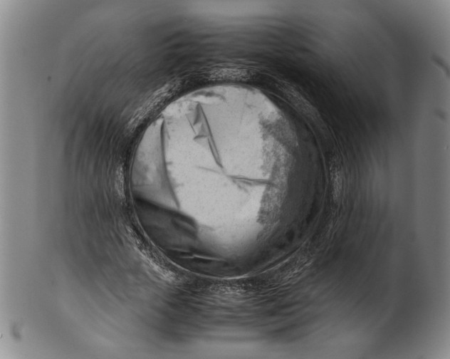 X0000101960729200808081527