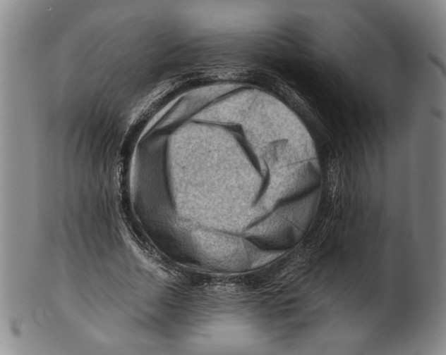 X0000101960730200808081527