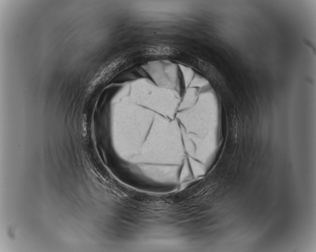 X0000101960731200808081527