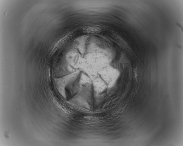 X0000101960733200808081527