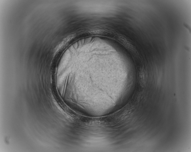 X0000101960734200808081527