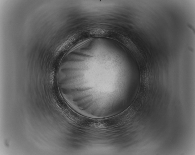 X0000101960735200808081528