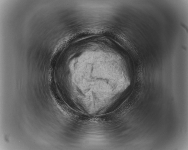 X0000101960736200808081528