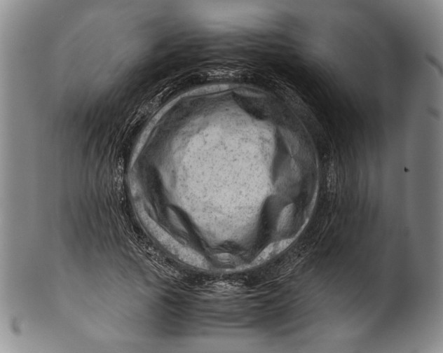 X0000101960737200808081528