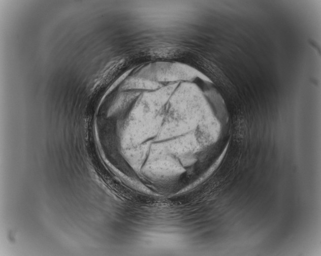 X0000101960738200808081528