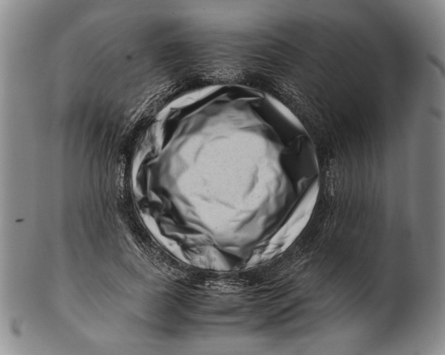 X0000101960739200808081528