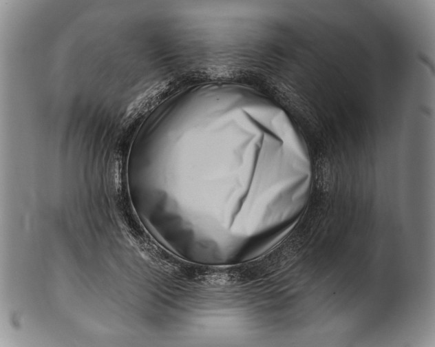 X0000101960740200808081528