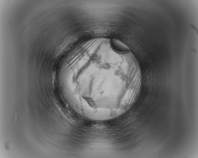 X0000101960742200808081528