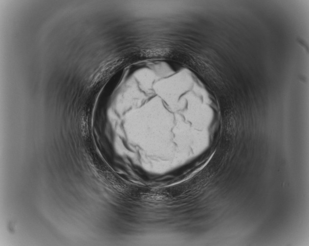 X0000101960743200808081528