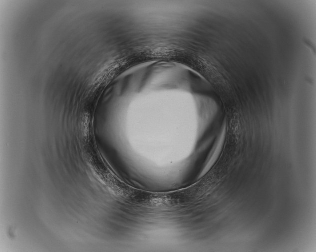 X0000101960744200808081528