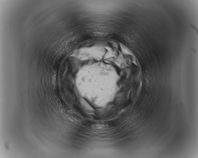 X0000101960745200808081528