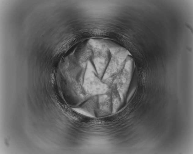 X0000101960746200808081528