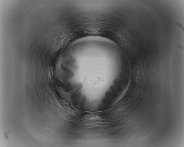 X0000101960747200808081528