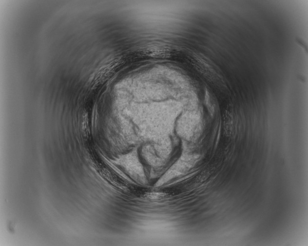 X0000101960748200808081528