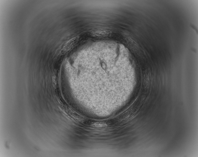 X0000101960749200808081528