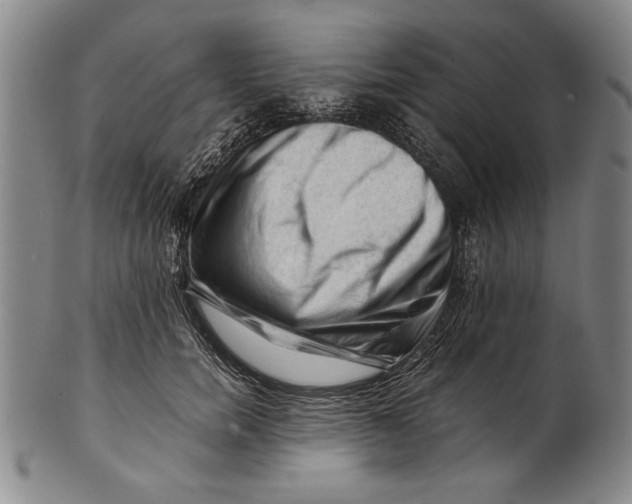 X0000101960750200808081528