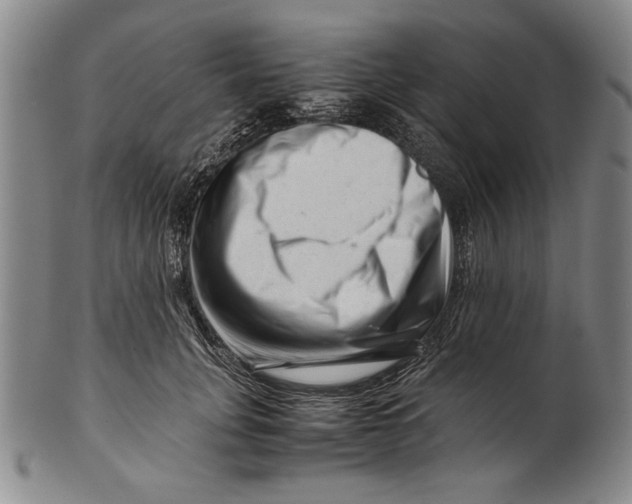 X0000101960751200808081528