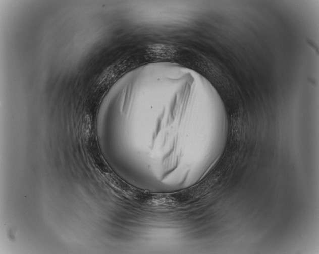 X0000101960752200808081528