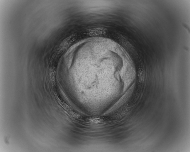 X0000101960753200808081528