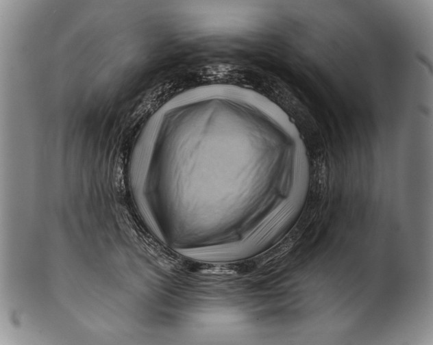 X0000101960754200808081528