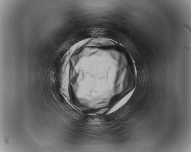 X0000101960755200808081528