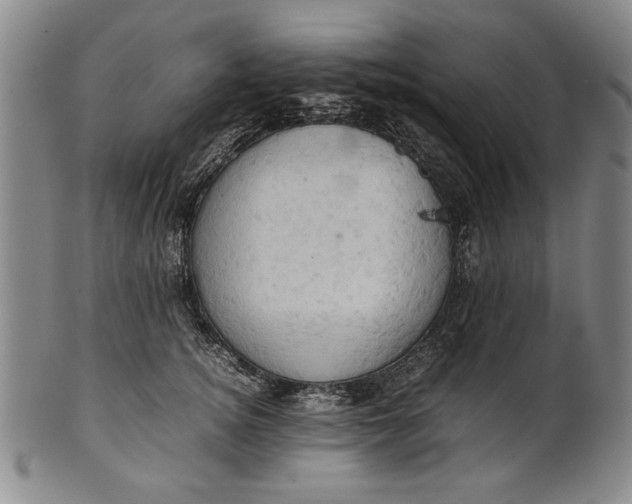 X0000101960756200808081528