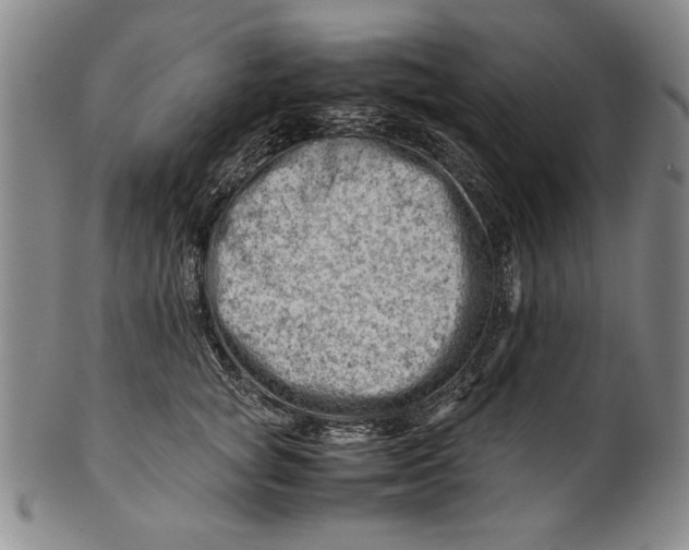 X0000101960757200808081528