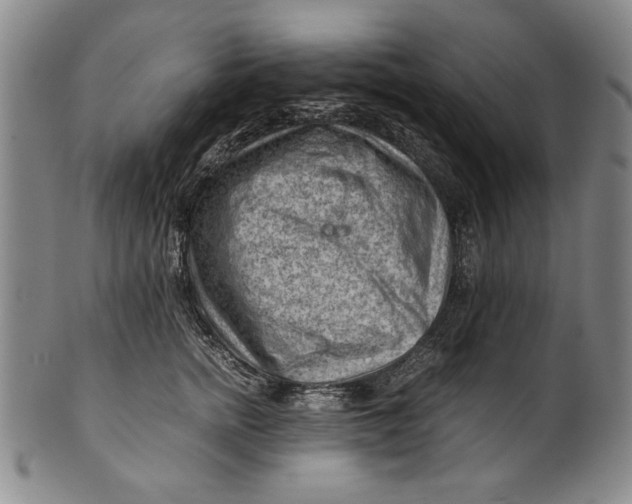 X0000101960758200808081528