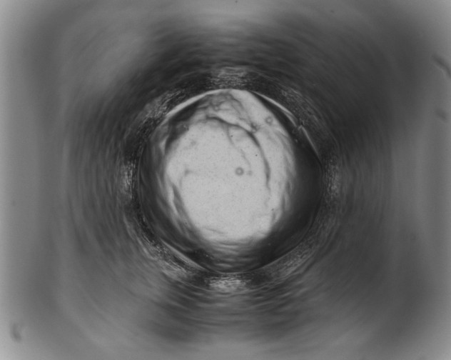 X0000101960759200808081528