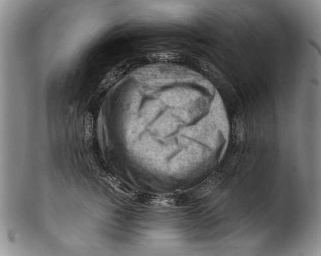 X0000101960760200808081528