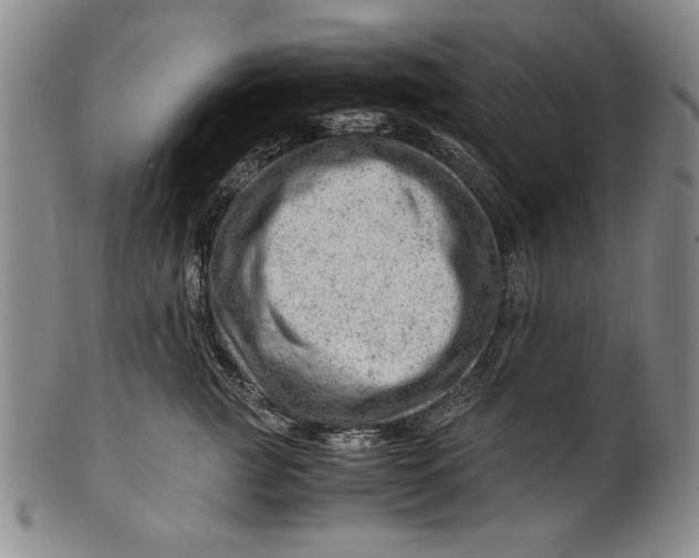 X0000101960761200808081528