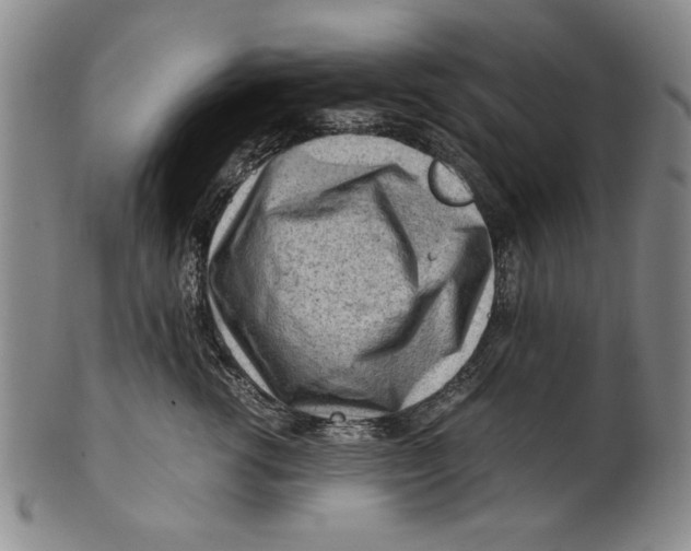 X0000101960762200808081528